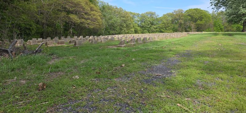 Quiet Cemeteries and Careful Steps