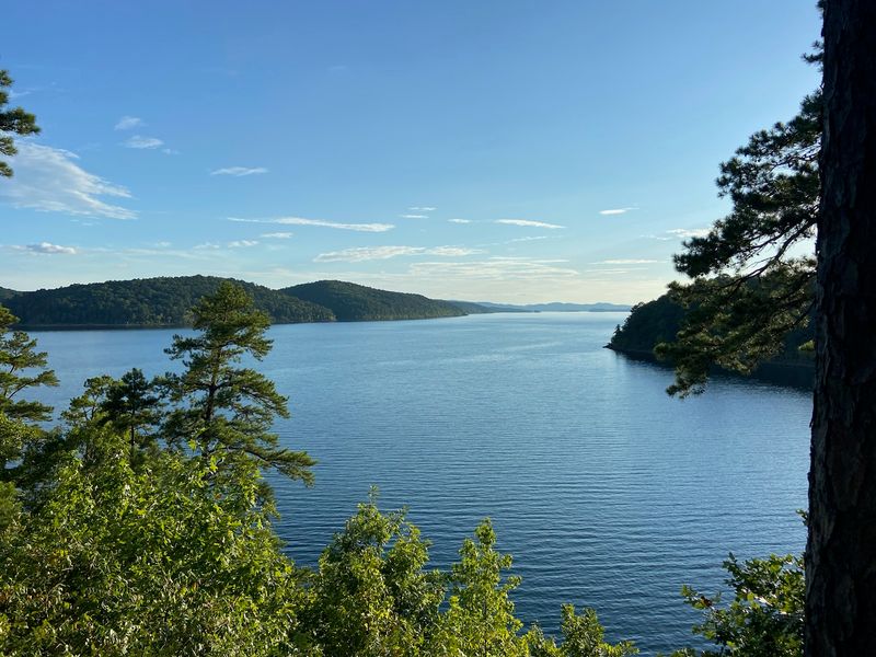 Ranger-Led Boat Tours Across the Lake
