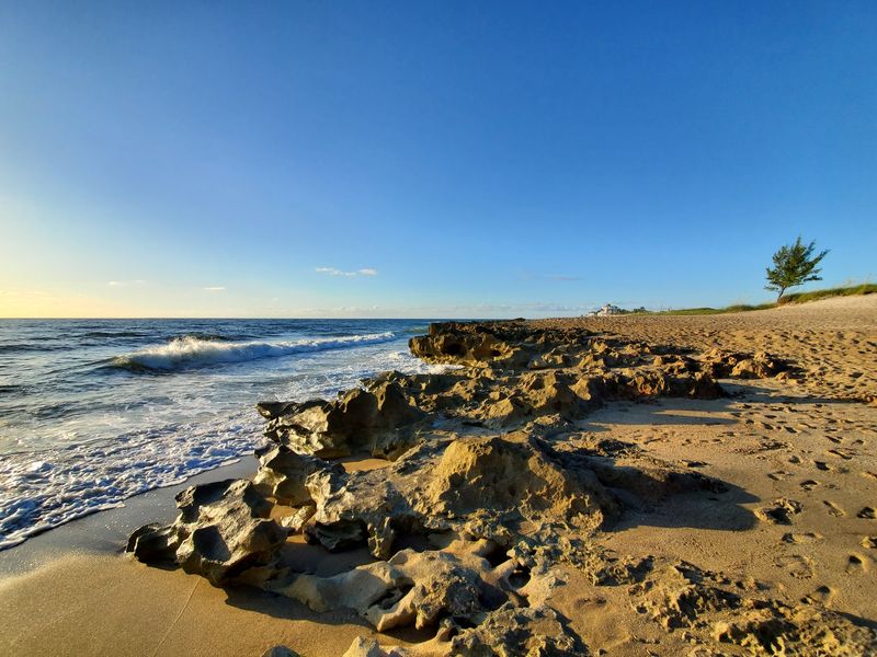 Rare Rocks on a Florida Beach