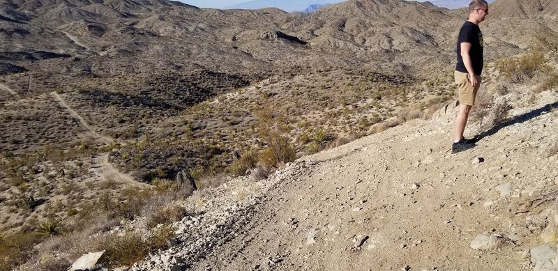 Rattlesnakes Have Right of Way