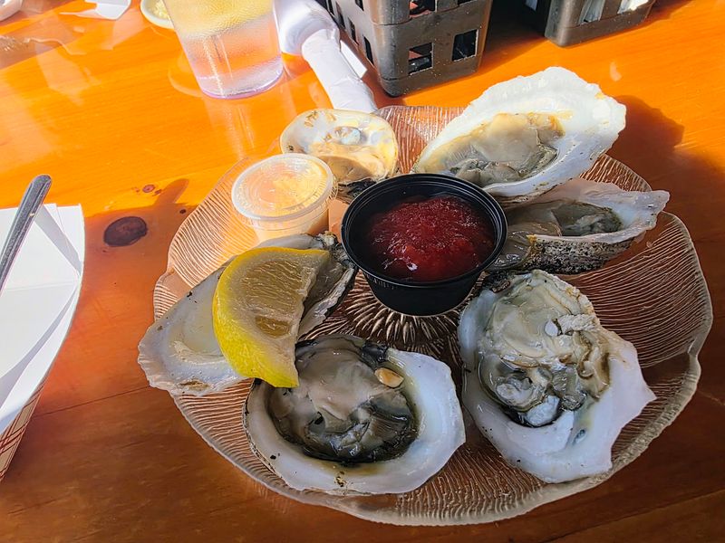 Raw Bar Picks and Rotating Oysters