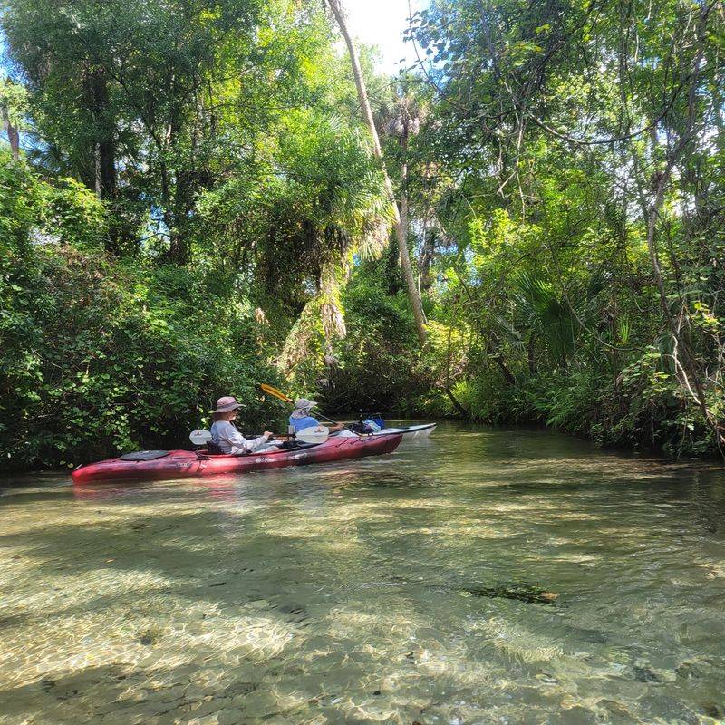 Rentals, Shuttles, And Quiet Wildlife