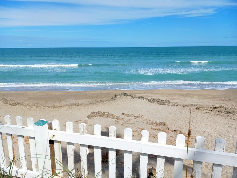 Rocking Chairs, Murals, and Sea Turtle Tales