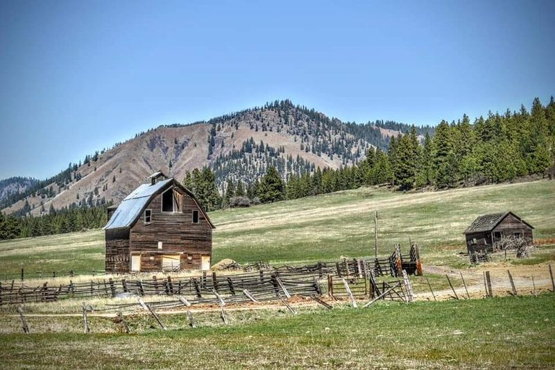 Rodeo Roots and Western Spirit Rodeo Roots and Western Spirit