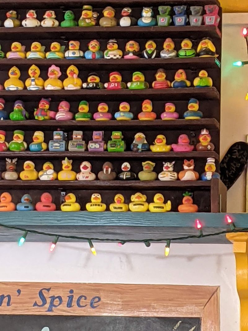 Rubber Ducks Everywhere You Look Rubber Ducks Everywhere You Look