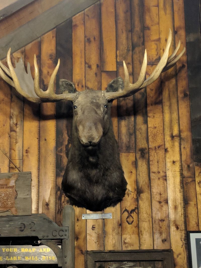 Rustic Decor With Watchful Guests