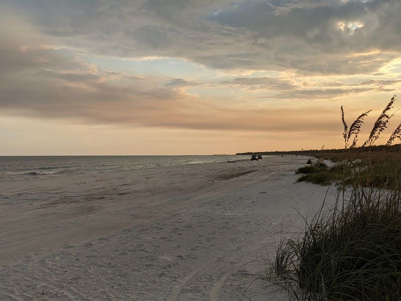 Scallops, Sea Turtles, and Seasonal Rules