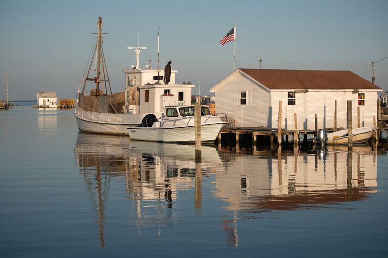 Seafood, Soft Shells, and Scoops Seafood, Soft Shells, and Scoops