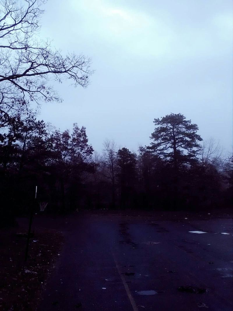 Seasons Without The Crowds Seasons Without The Crowds