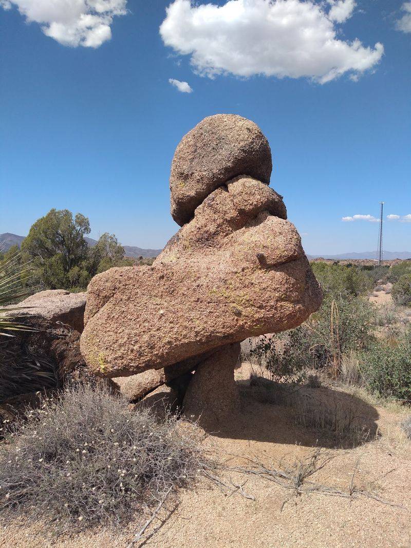 Seasons in the Desert