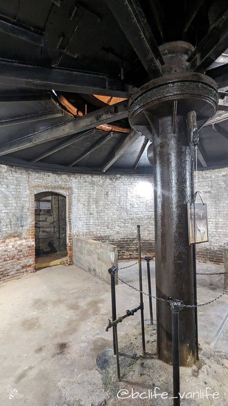 Secrets Below in the Basement