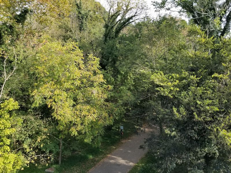 Shade Along the Greenway