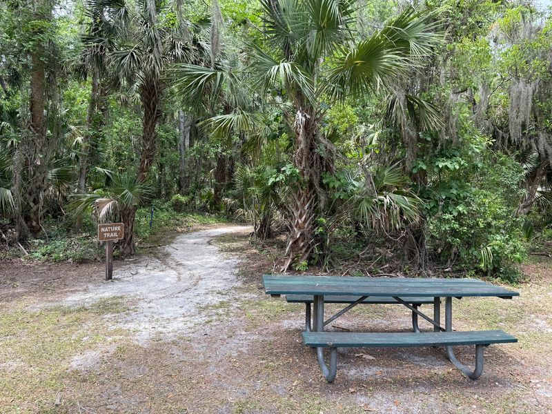 Shady Trails Behind the Ruins