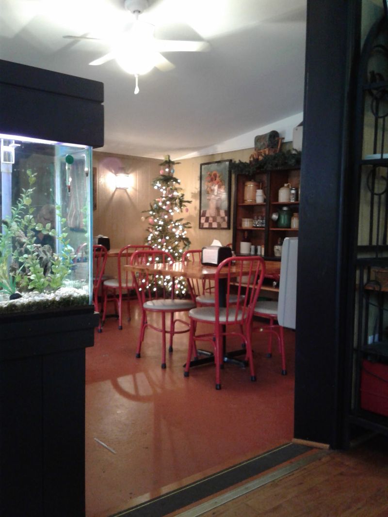 Shiny Tables, Curtains, and a Famous Fish Tank
