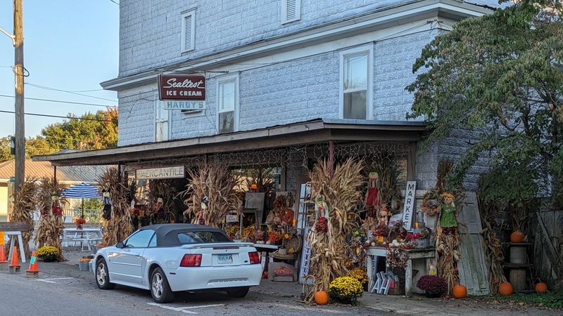 Shops, Strolls, and a Final Verdict