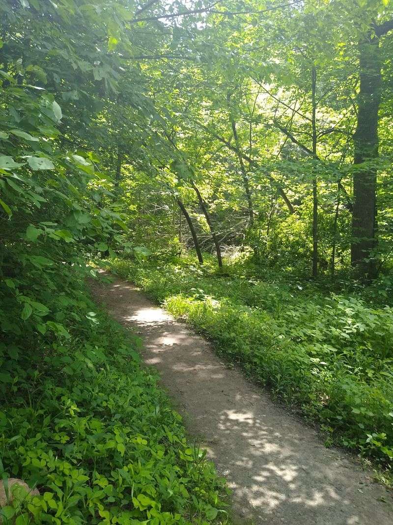 Short, Forgiving Trails That Welcome Beginners Short, Forgiving Trails That Welcome Beginners