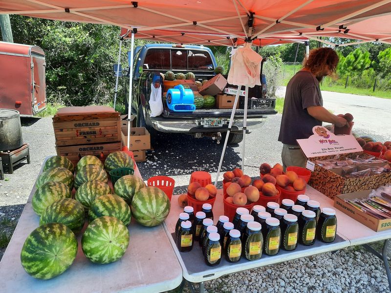 Side of the Road Produce Sales, Cocoa, FL Side of the Road Produce Sales, Cocoa, FL