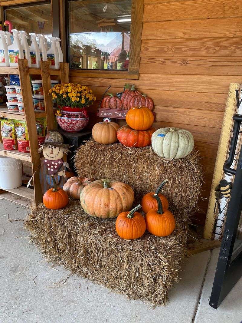 Smith's Farm Market and Garden Center, Benson, NC Smith's Farm Market and Garden Center, Benson, NC