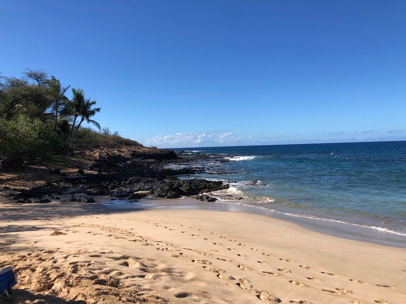 Soft White Sand and Room to Roam