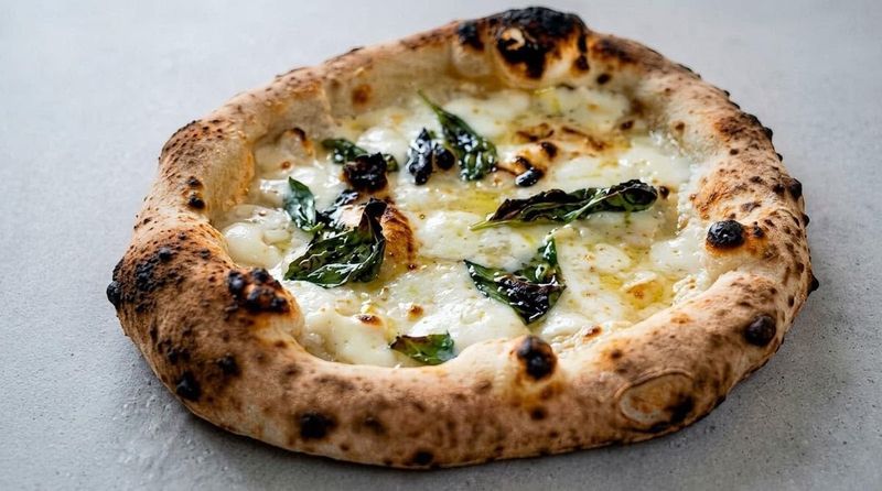 Sogna Napoli Trattoria & Pizzeria, Tampa, FL Sogna Napoli Trattoria & Pizzeria, Tampa, FL