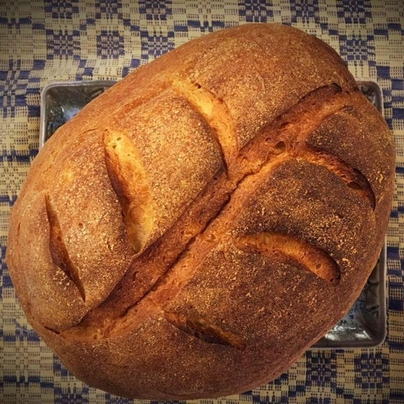 Sourdough, Kolaches, and the Cookie Jar