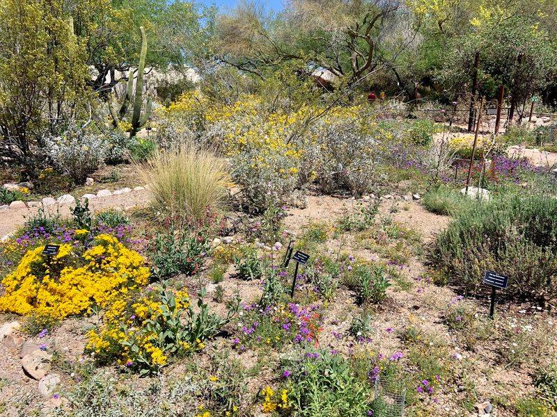 Specialty Gardens and Wild Neighbors