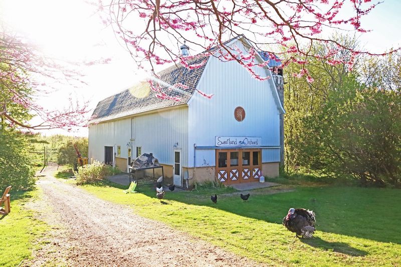 Sweetland Orchard, Webster, MN