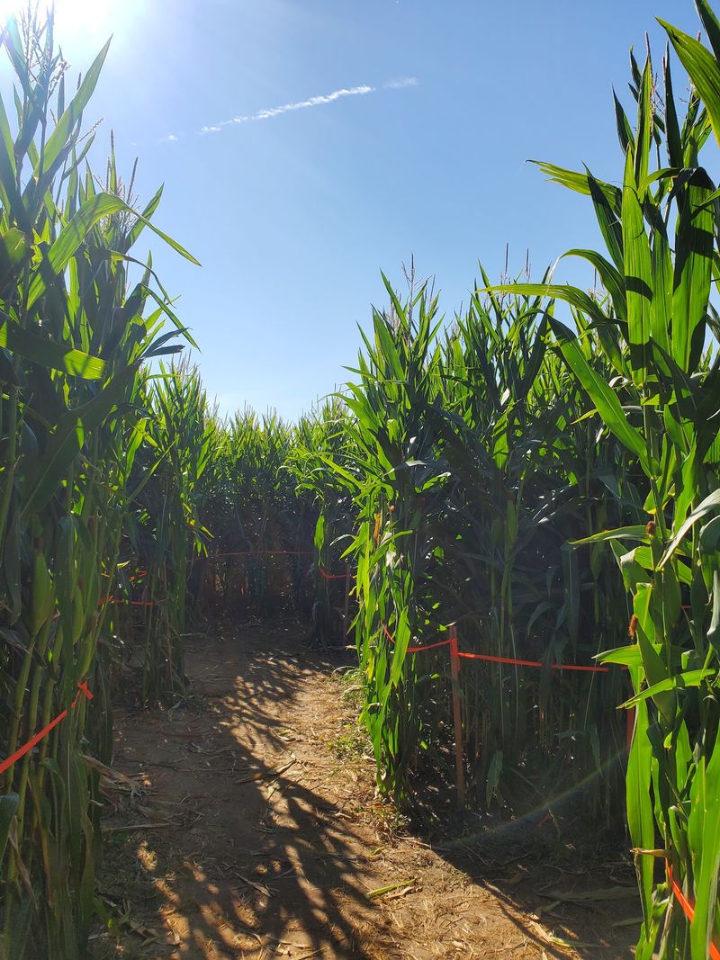 Swore Farms, Pocatello, ID