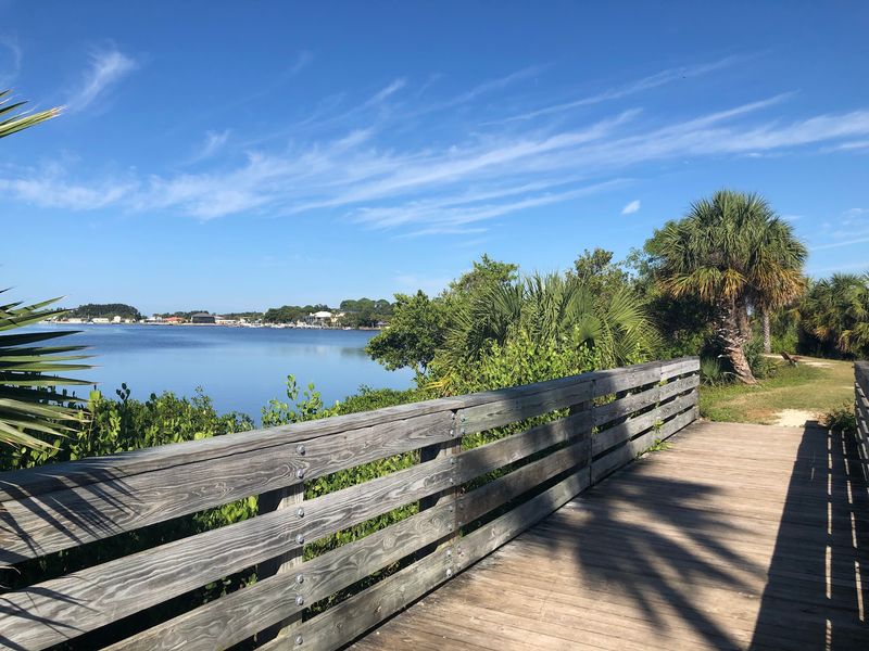 Tampa Bay Within Reach