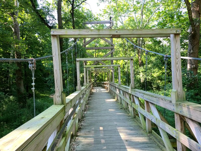 That Famous Suspension Bridge