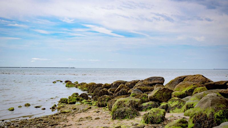 The Beach Within Walking Distance