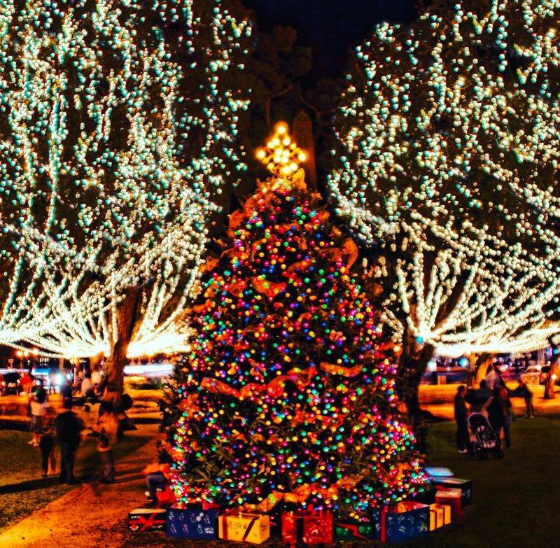 The Christmas Festival of Lights The Christmas Festival of Lights