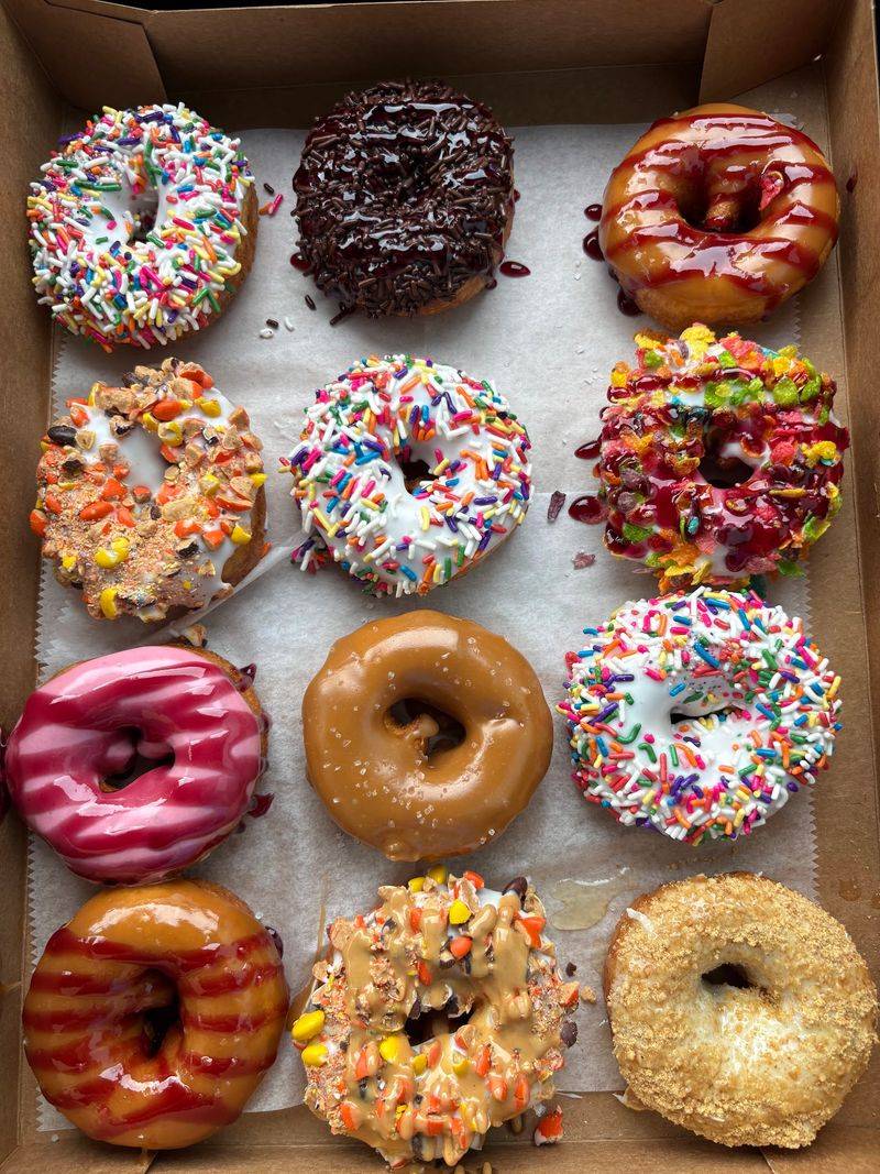 The Donut Experiment, Anna Maria, FL