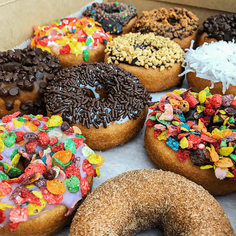 The Donut Experiment, Anna Maria, FL The Donut Experiment, Anna Maria, FL