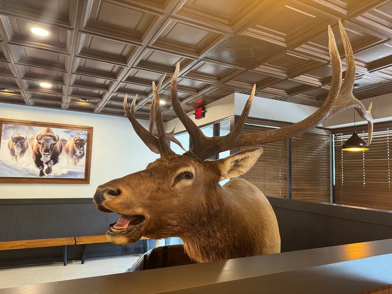 The Elk Who Runs the Front Door