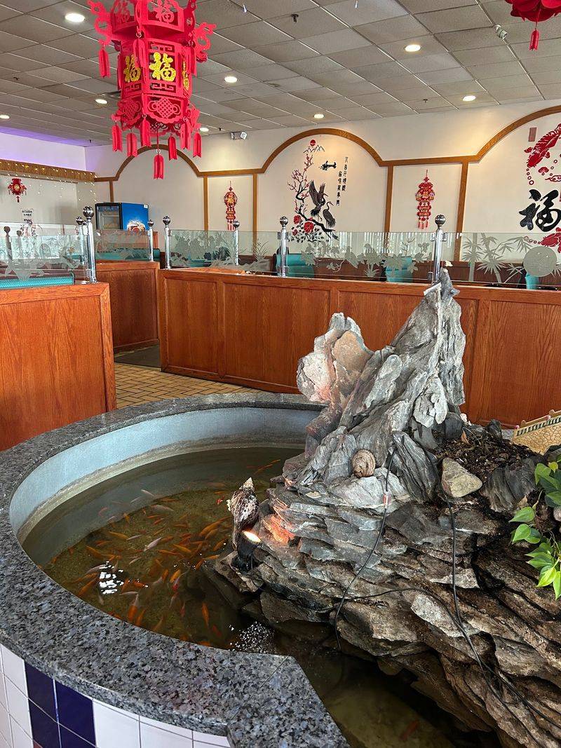 The Fish Pond That Greets Every Guest The Fish Pond That Greets Every Guest