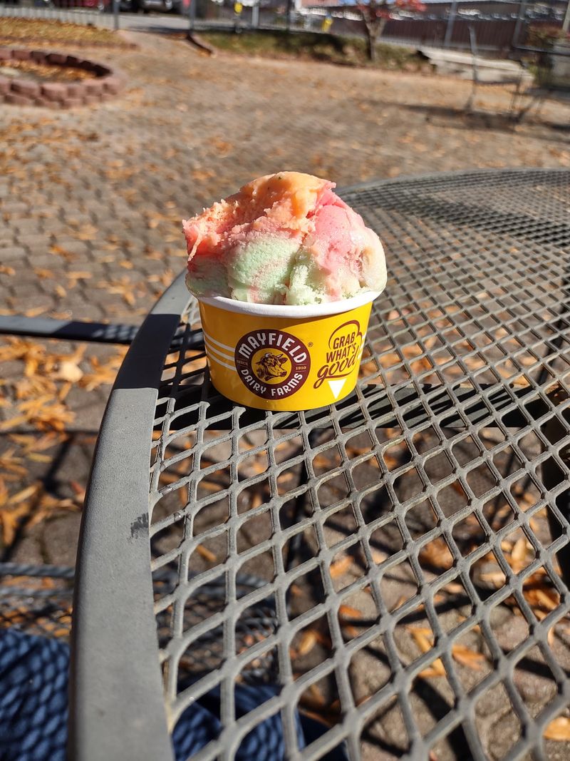 The Free Scoop Finale The Free Scoop Finale