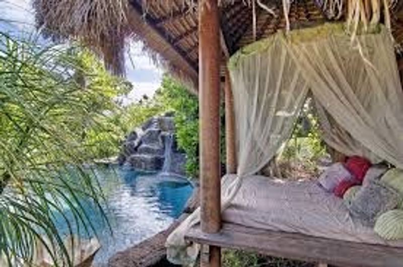The Garden And Saltwater Pool Out Back