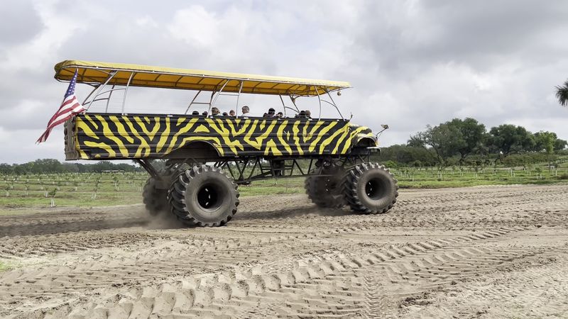 The Monster School Bus Safari