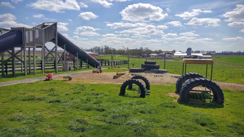 The Playground That Steals the Show The Playground That Steals the Show