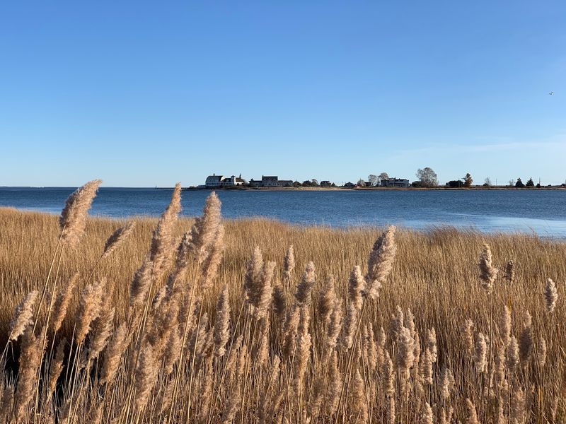 The Quiet Case for Old Saybrook