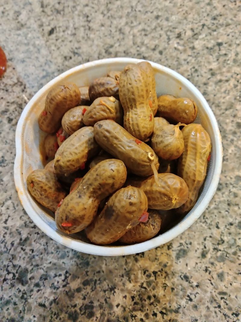 The Roadside Peanut & Snack stand, Eustis, FL