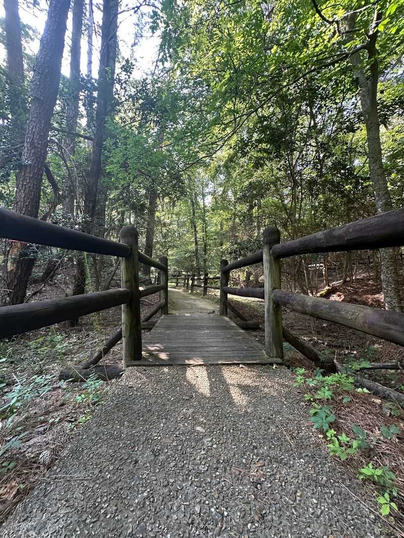 The Shady Nature Trail The Shady Nature Trail