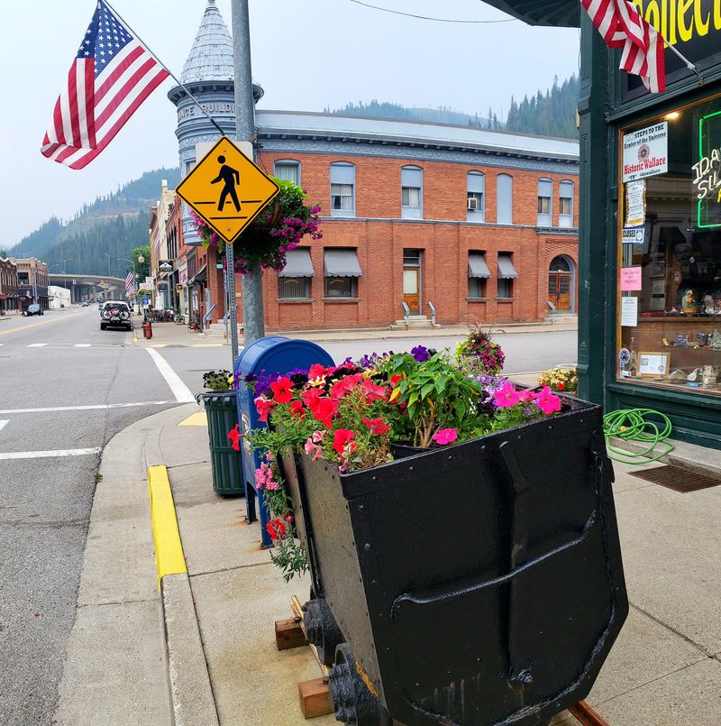 The Silver Valley Connection