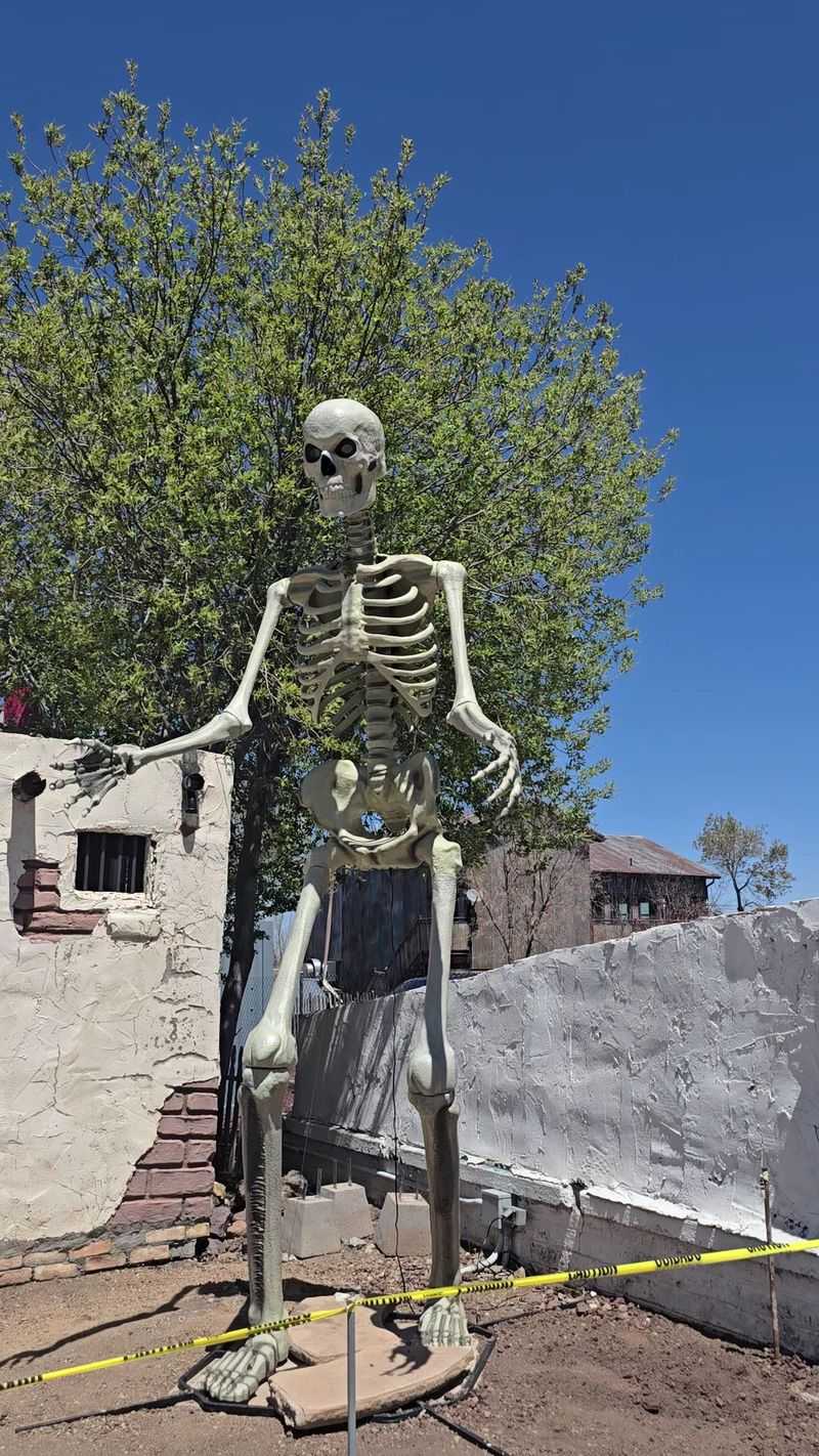 The Skeleton That Stops Traffic The Skeleton That Stops Traffic