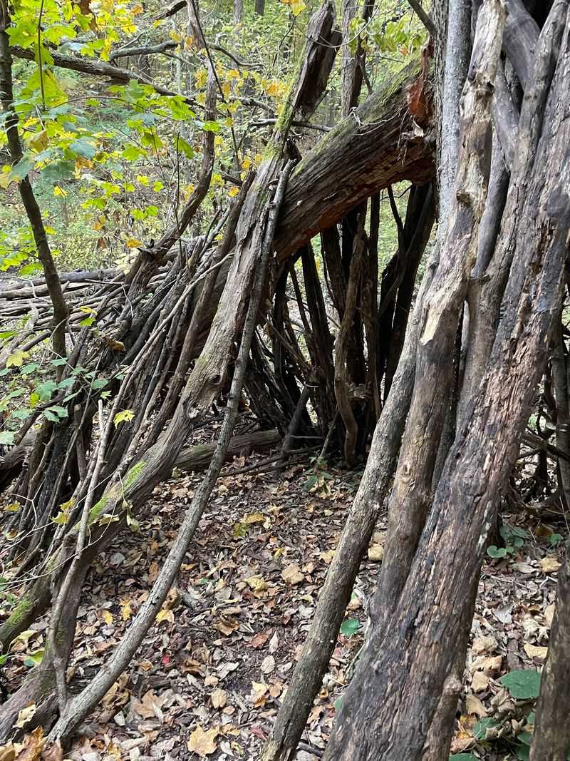The Storybook Elf Hut Everyone Talks About The Storybook Elf Hut Everyone Talks About