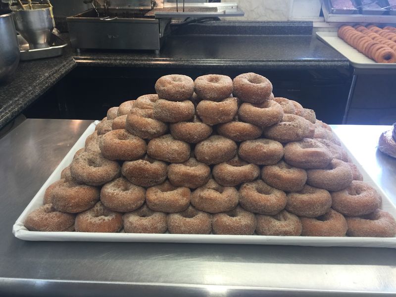 The Washboard Donut Shoppe, Tupper Lake, NY