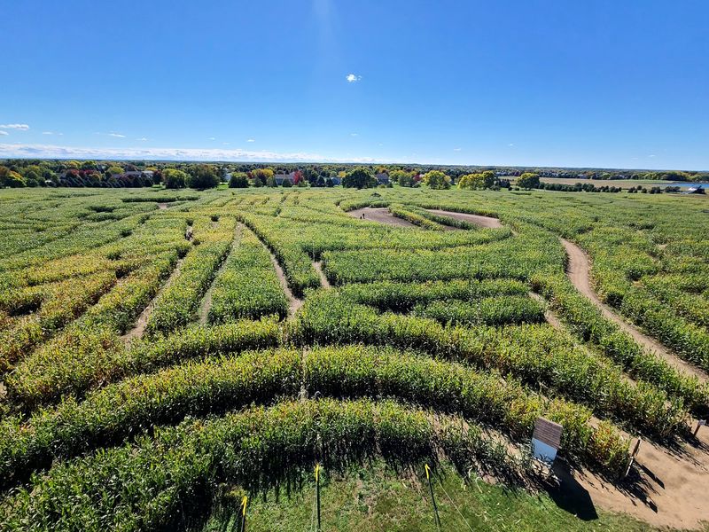 The World's Largest Corn Maze