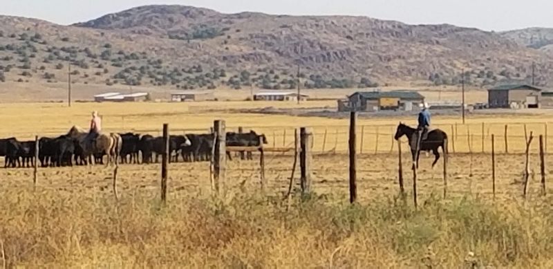The Yavapai County Connection