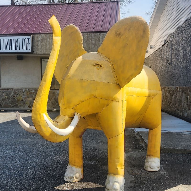 The Yellowphant Cafe, Blue Ridge, GA The Yellowphant Cafe, Blue Ridge, GA
